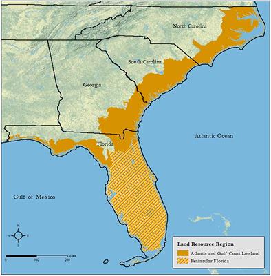 Stormwater Ponds in the Southeastern U.S. Coastal Plain: Hydrogeology, Contaminant Fate, and the Need for a Social-Ecological Framework